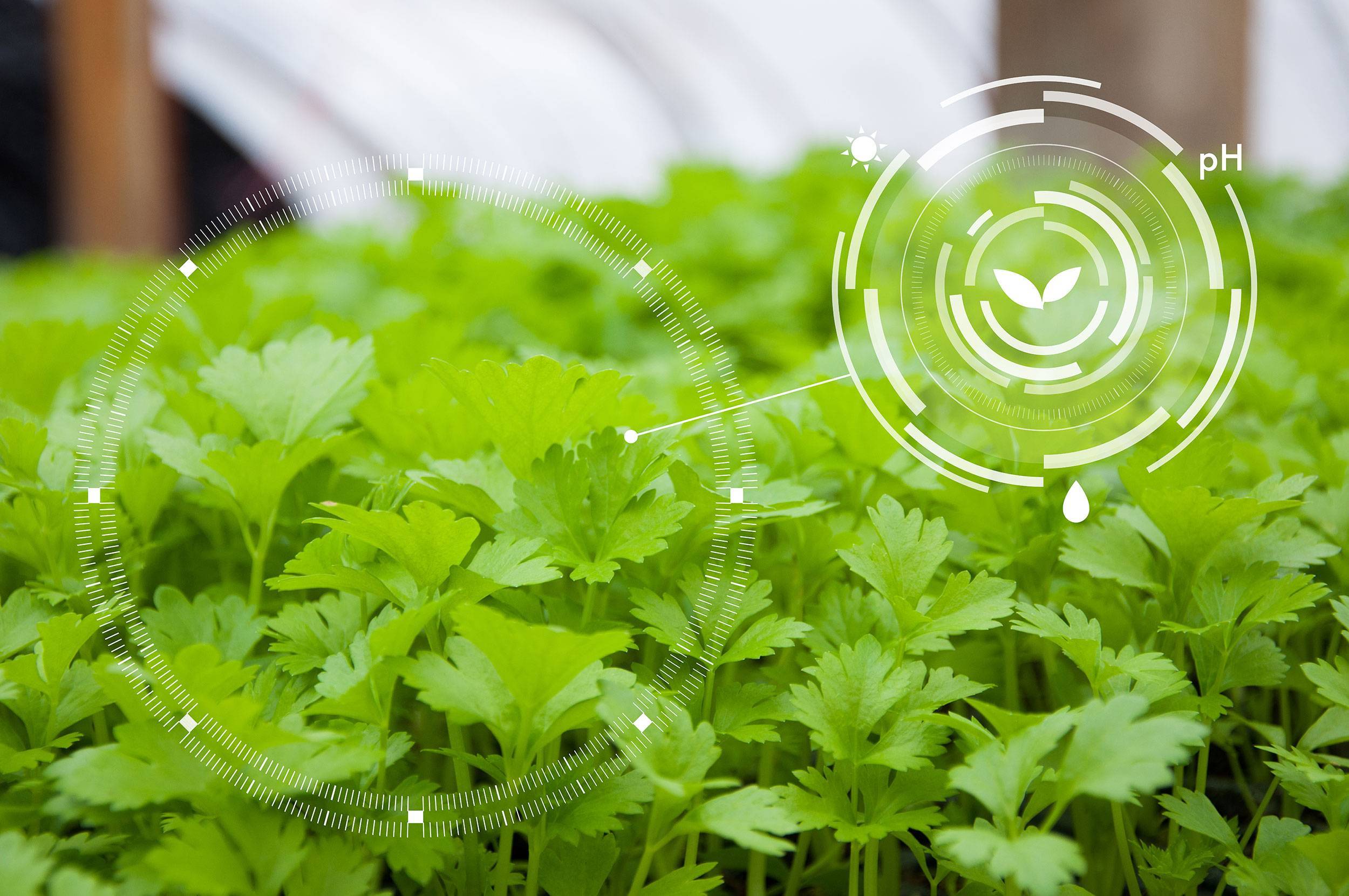 A look into the present and future of smart agriculture - Leaders  International