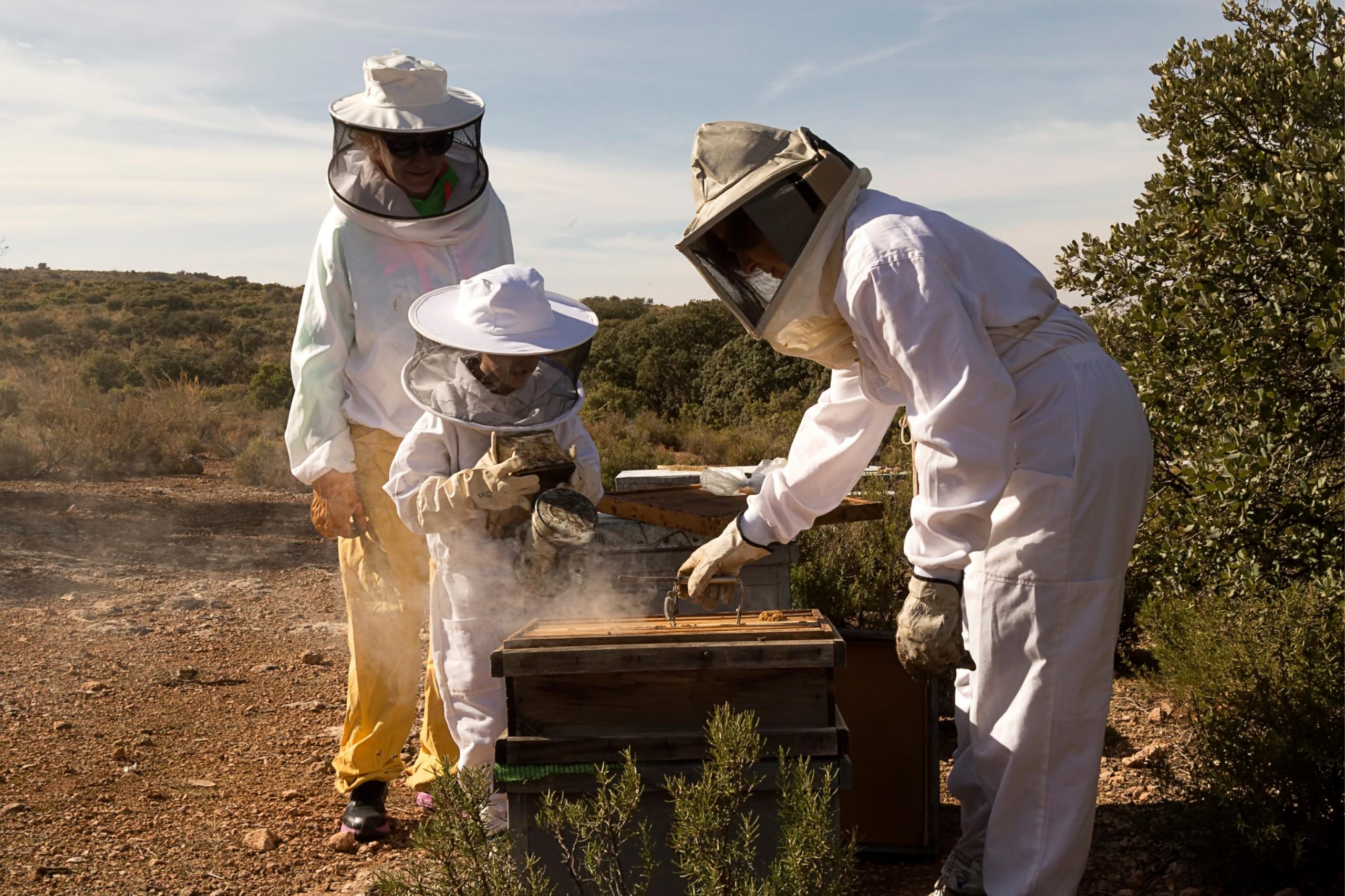 Beekeeping: sustainable tourism