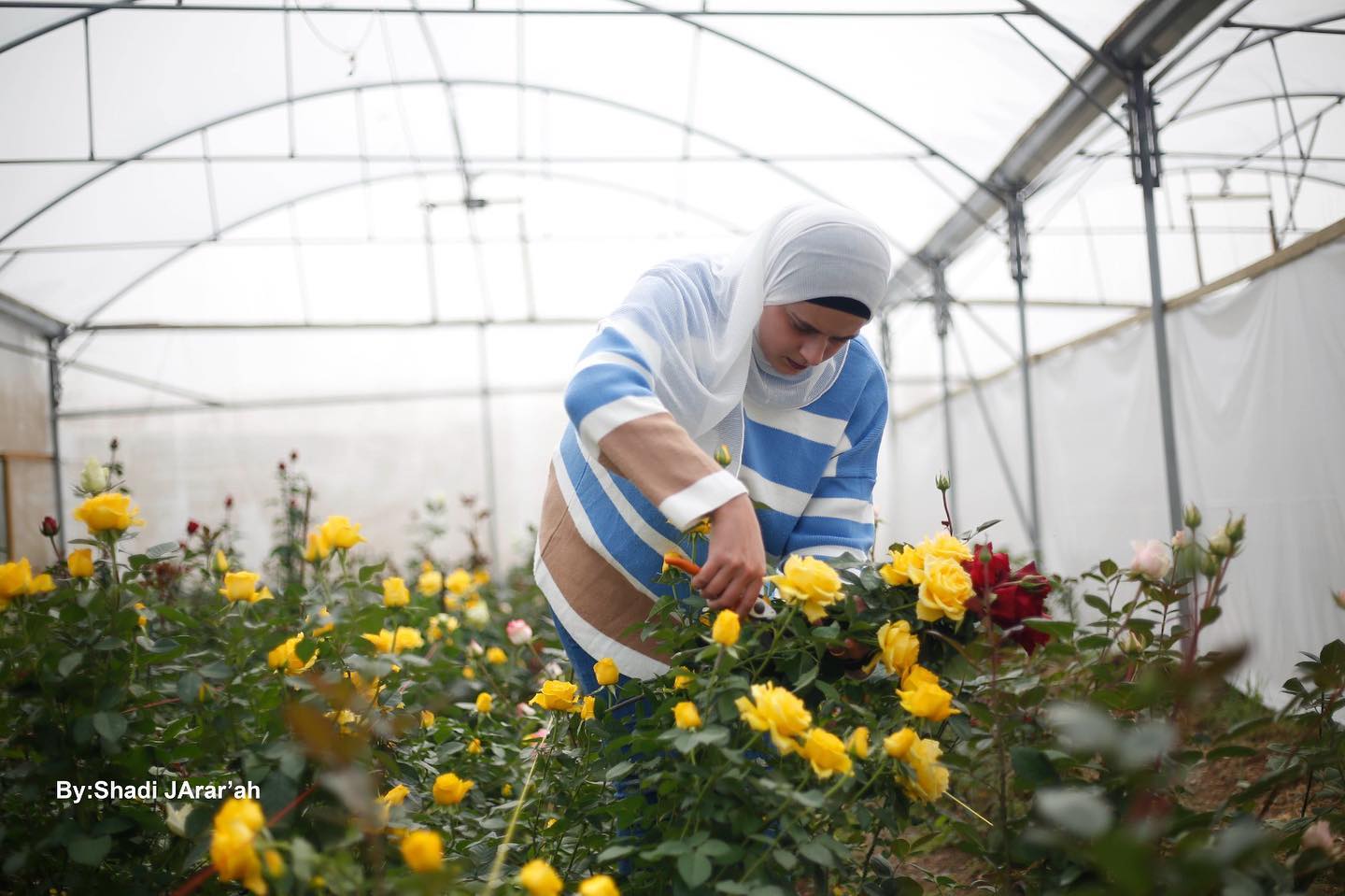 "To me, the planet symbolizes motherhood. It protects, supports, and nurtures." – Farah, a young Palestinian entrepreneur who built her flower shop #greenbusiness, Flowerland, using recycled wastewater. 
Through @gimed_enicbcmed project, Farah transformed her vision into reality and improved her business's competitiveness in the local market. 
@enicbcmed #GOMED