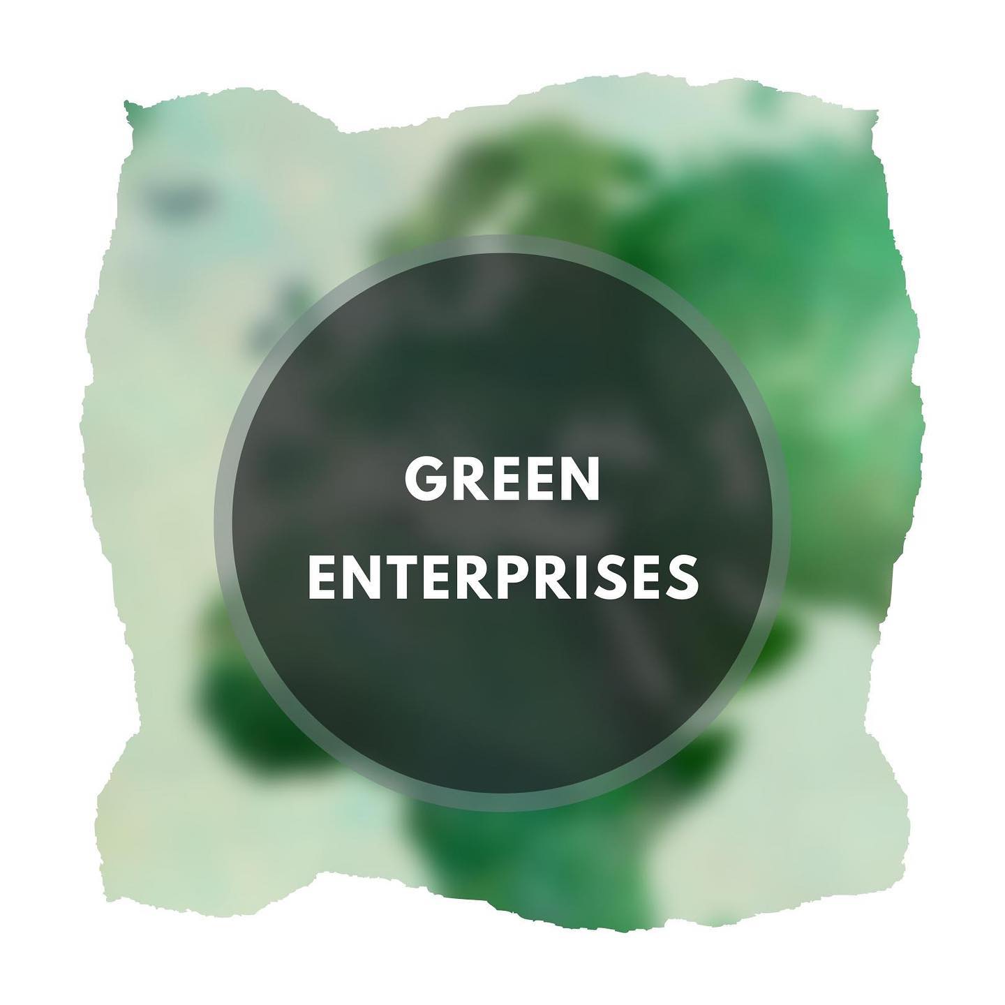 Following our @gimed_enicbcmed project's technical and financial assistance of #greenSMEs in the Euro Mediterranean region, our RESET project will capitalise on GIMED's results to help facilitate the development of #greenenterprises through research, knowledge sharing, and policy recommendations. 
#greeneconomy #greenbusiness #GOMED #onemed @enicbcmed
